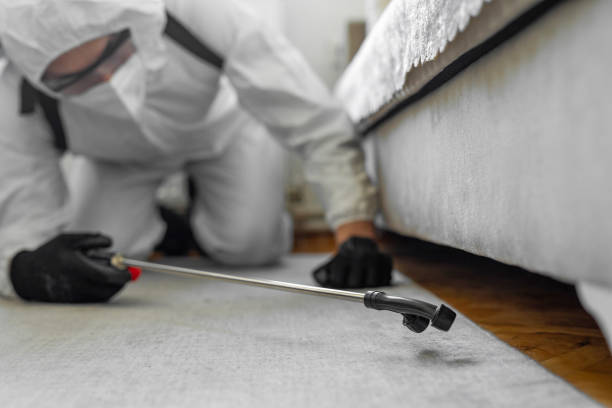Professional Bed Bug Control technician working in Golden Valley County County, ND